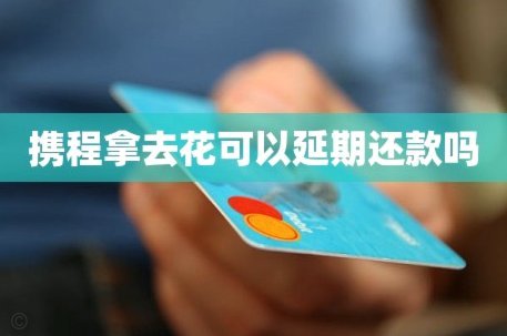 携程拿去花怎么还款