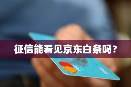 平台如何监控白条额度？