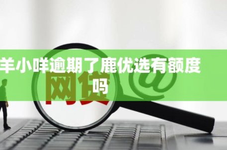 鹿优选额度如何高效利用