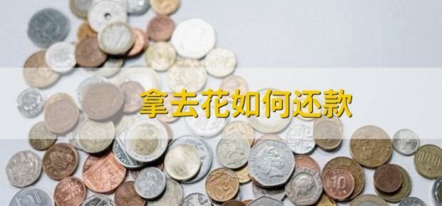 如何提高拿去花的借款额度