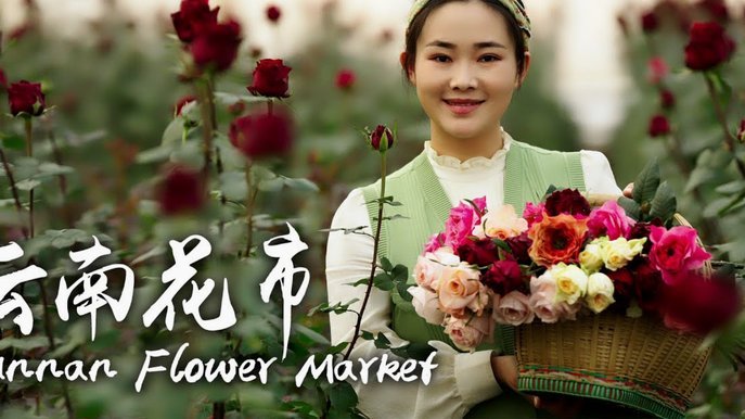 花呗平台正规吗 怎么还款