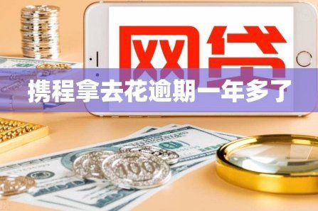 携程拿去花在哪里