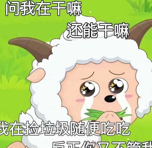 羊小咩套路吗