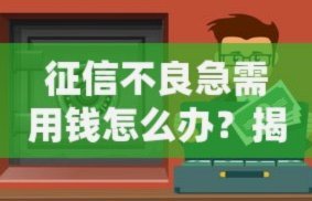 白条现在上征信了吗
