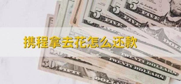 拿去花提前还款操作指南