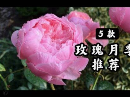 花呗急用钱别慌，这些还款方式更靠谱
