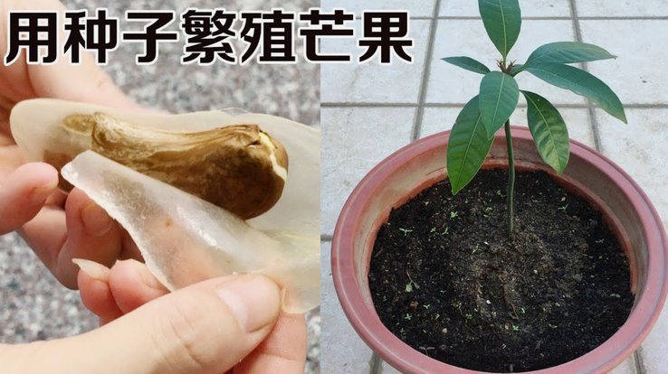 便荔卡包取现可靠吗？