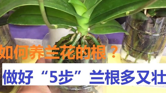 花呗利息是如何计算的？掌握这些规则，避免多余支出