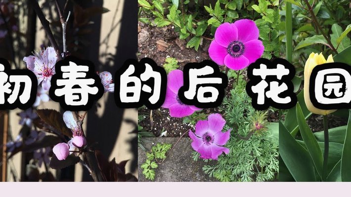 花呗花呗利息怎么算的