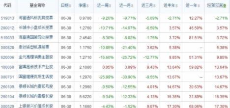 基金净值超过10的有哪些