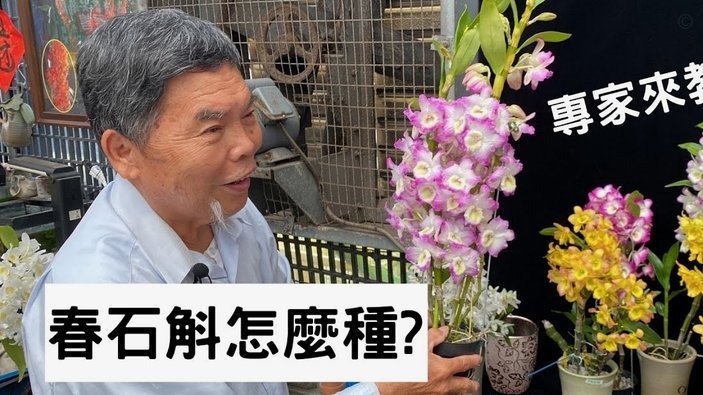 花呗利息：懂了就够用
