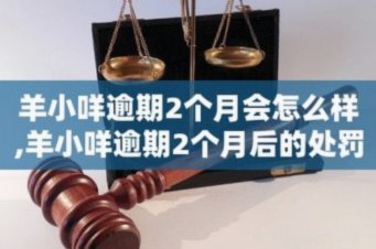 羊小咩：农业数据技术引领者