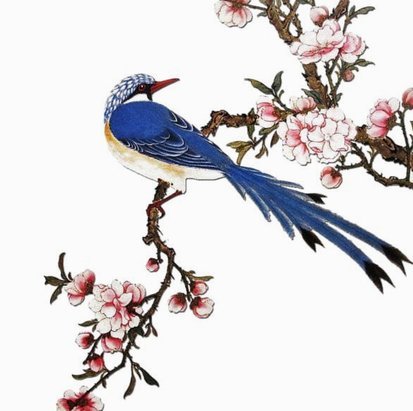 套现花呗啥意思啊怎么办