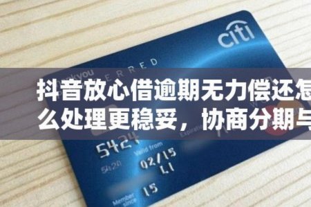 海鸥贷款逾期如何应对