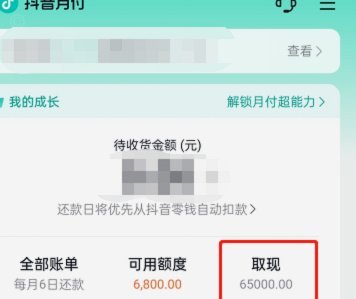 月付提现
