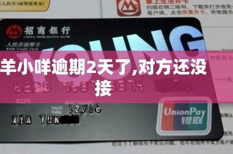 羊小咩临时额度到底还能不能用了？专业解读与攻略