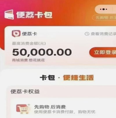 羊小咩现在怎么看账单