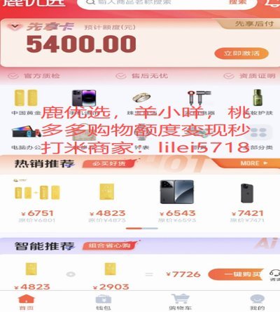 鹿优选额度提现：流程与技巧详解