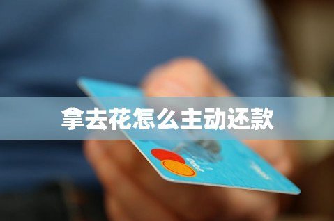 拿去花怎么自己套现