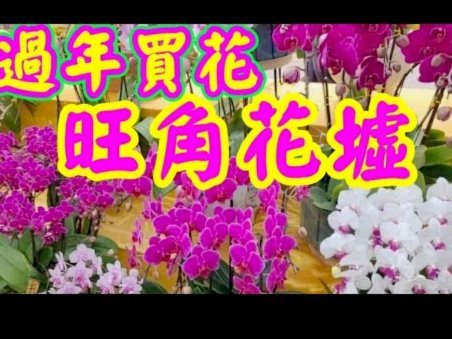 花呗怎么套钱出来?