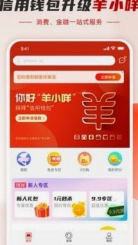 羊小咩消费额度怎么查