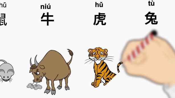 羊小咩怎么协商分24期可以吗