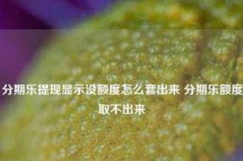 为什么你的分期乐额度显示有却拿不到