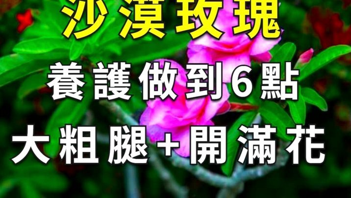 花呗转账后能找回吗