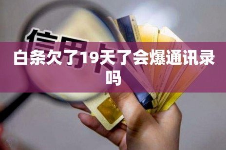 白条逾期19天后如何补缴？一次“信用复训”的深度自救指南
