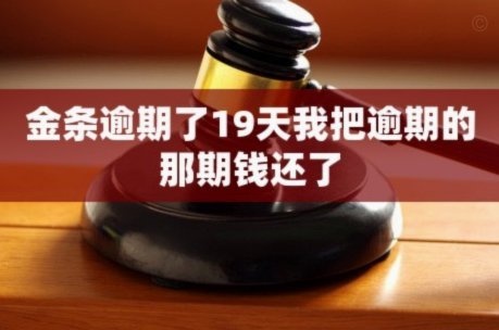 白条逾期了19天我把逾期的那期钱退回