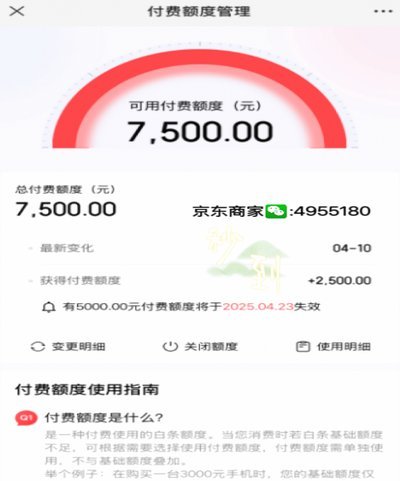白条加油包有额度但是不能用