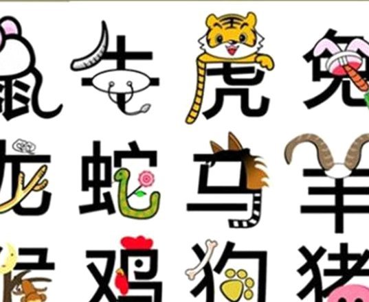 羊小咩1000元消费指南