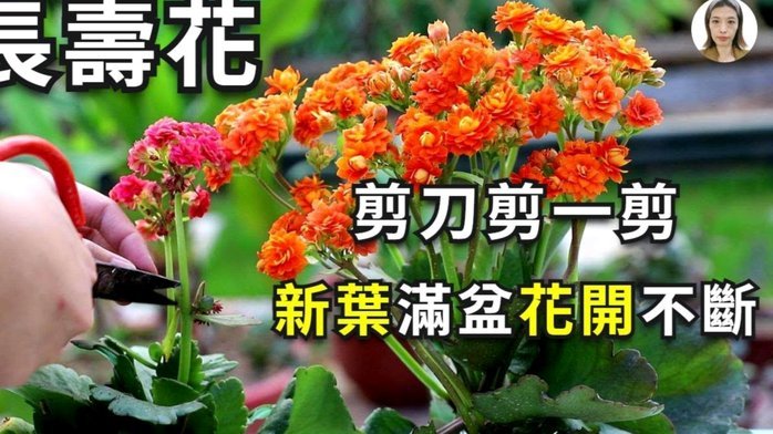 套现花呗的手续费怎么算