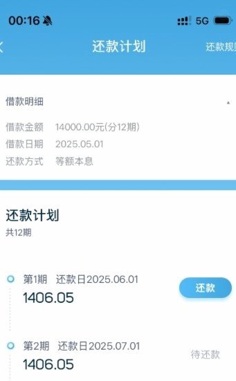 拍拍贷只要放款中就一定能出来吗