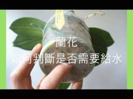 花呗套现的真正成本是多少？手续费与隐形费用全揭秘