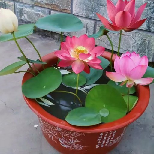 套现花呗收几个点