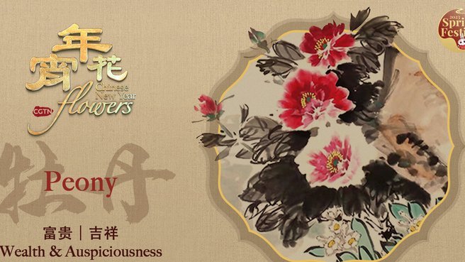 套花呗什么后果