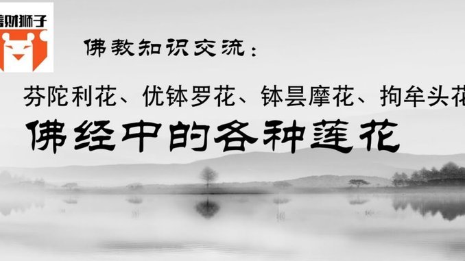 拿去花为何用不了背后的原因解析