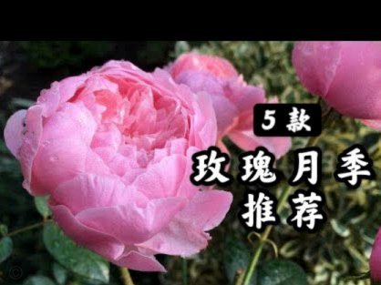 告别价格焦虑：携程“拿去花”到底该怎么用最划算？