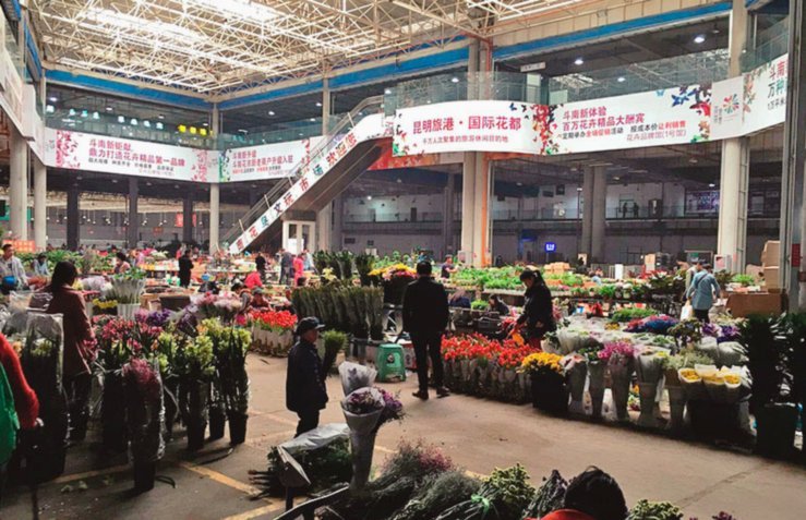 花呗商家提现：流程与到账时间解析