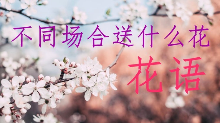 花呗套现真的要交手续费吗？真正答案在这里