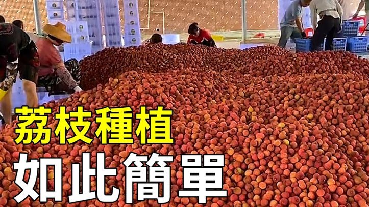 便荔卡如何通过消费实现资金套现？