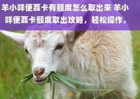 羊小咩为何这样取名