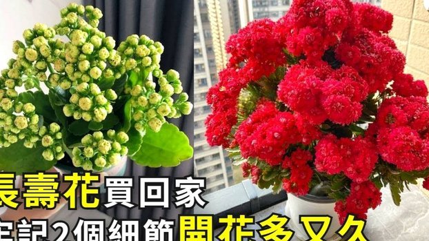 如何安全提现“拿去花”借款？