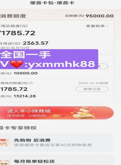 羊小咩购物额度的智慧用法指南