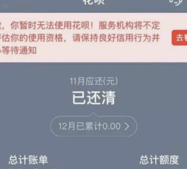 套花呗还花呗会怎样？