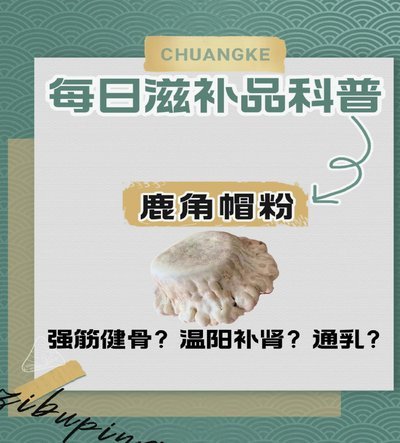 鹿粉卡：时间价值最大化之道