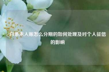 白条入库怎么处理