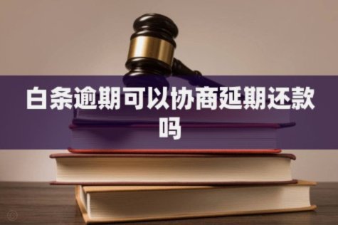 白条逾期协商延期的正规流程
