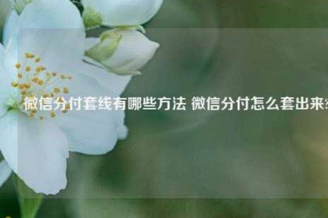 微信分付如何套现避开风险？